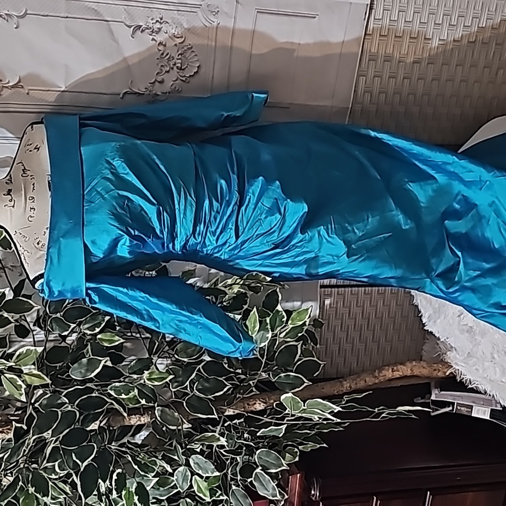 Marisa Baratelli Thai Silk Gown 8